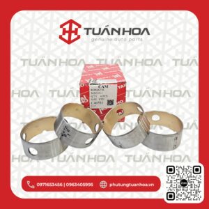 Bạc cam 6D105