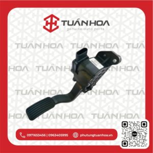 Bàn đạp chân ga Hyundai Mighty - D4CC - Ex8