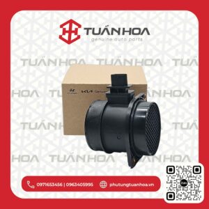 Cảm biến gió Hyundai Solati - Porter II - Ex8