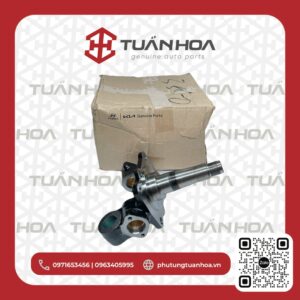 Ngỗng moay ơ Kia K250 LH ( trái )
