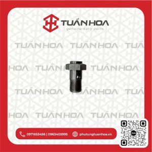 Ốc vòi dầu Hyundai Solati - Ex8