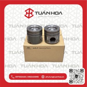 Piston Hyundai Solati