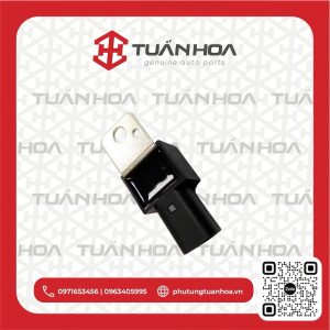 Tụ điện mô bin Hyundai Grand Starex - Santafe - Morning 11