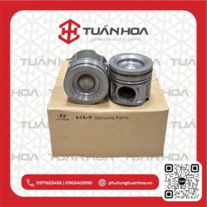 Piston Hyundai Santafe - Sedona - Canival - Kia Sorento