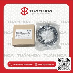 Piston Hyundai Santafe 2.2 đời 2015