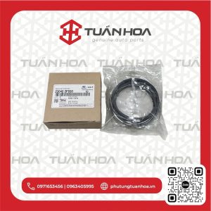 XÉC MĂNG SANTAFE MÁY XĂNG 2.4