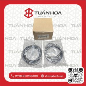 Xéc măng D6GA dầu 3 ly