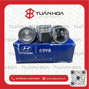 Piston Hyundai D6HA